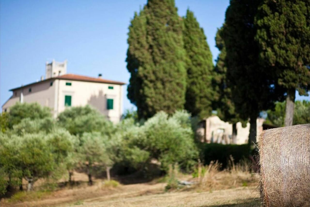 Affittacamere Porquier Crespina Exterior photo
